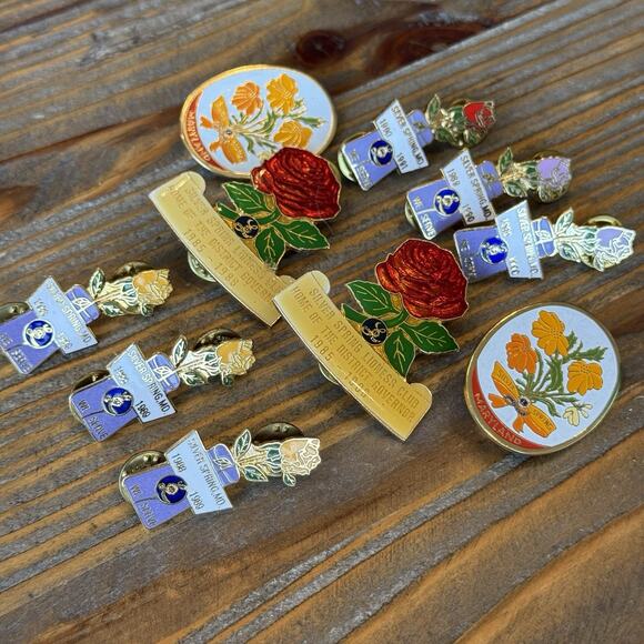 Lions Club Lioness Pins Lot Of 10 Rose State Of Maryland Pin Brooch Lapel Pins - Picture 1 of 15